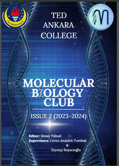 molecularbiyoloji24